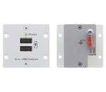 W-2UC Wall Plate Insert — Dual USB Charger